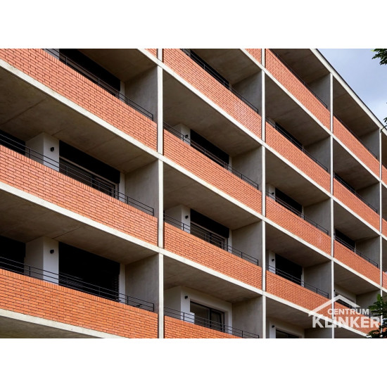 Cihla Klinker RF.Janka červená světlá 25x12x6,5cm- 420ks/pal. Cihla Klinker RF.Janka červená světlá 25x12x6,5cm- 420ks/pal.