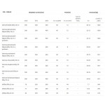 CS-CSBLOK štípaná ŠEDÁ čtyřstranně 40/20/20cm- 50ks/pal.