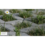 CS-Zatravňovací tvárnice 60x40x  8 šedá VELKÁ- 44ks/pal.