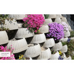 CS-svahovka FLORIA šedá- 24ks/pal.