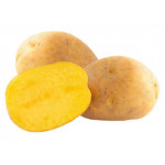 Brambory-sadba-SUNITA-velmi raná A - 5kg/bal.