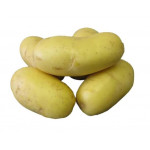 Brambory-sadba-SUNSHINE B-velmi raná- 5kg/bal.